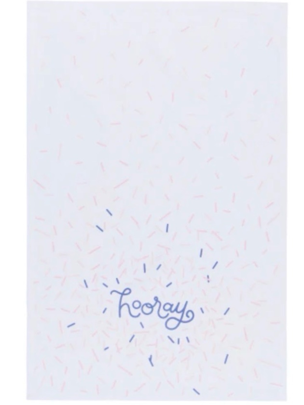Danica Brands “Hooray” Dishtowel NEW!